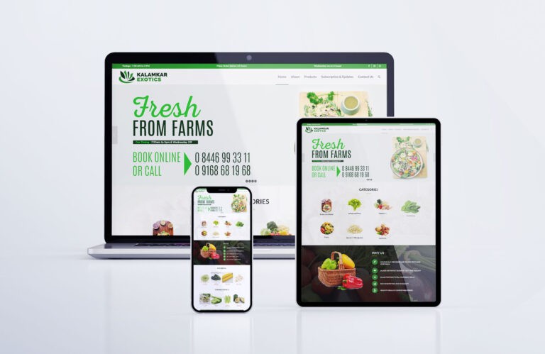 Ecommerce Website Design Agency