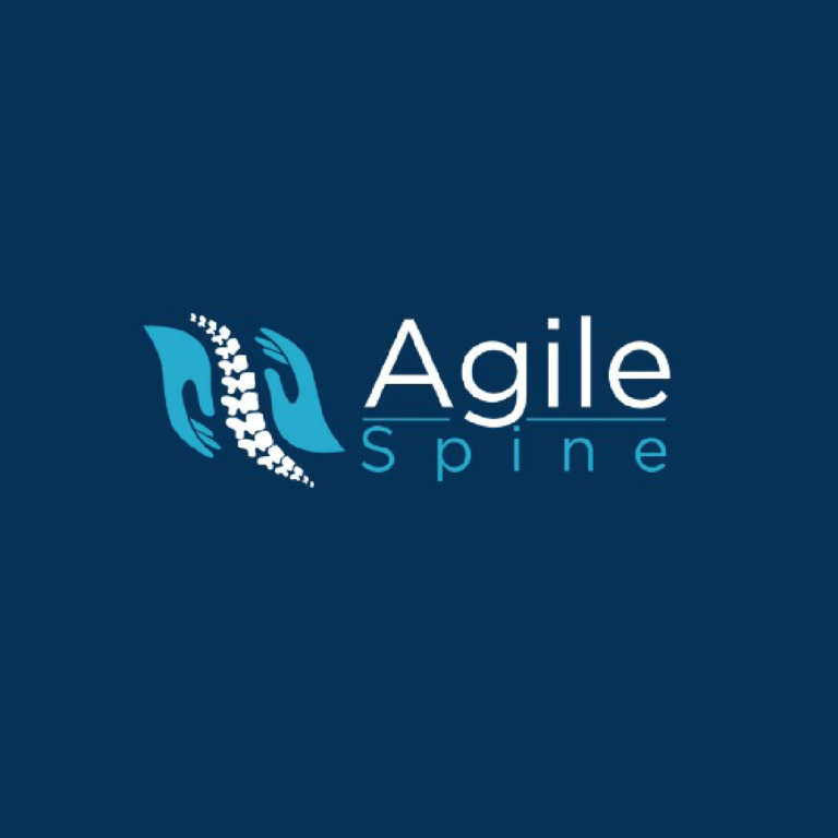 Agile Spine-logo design services pune